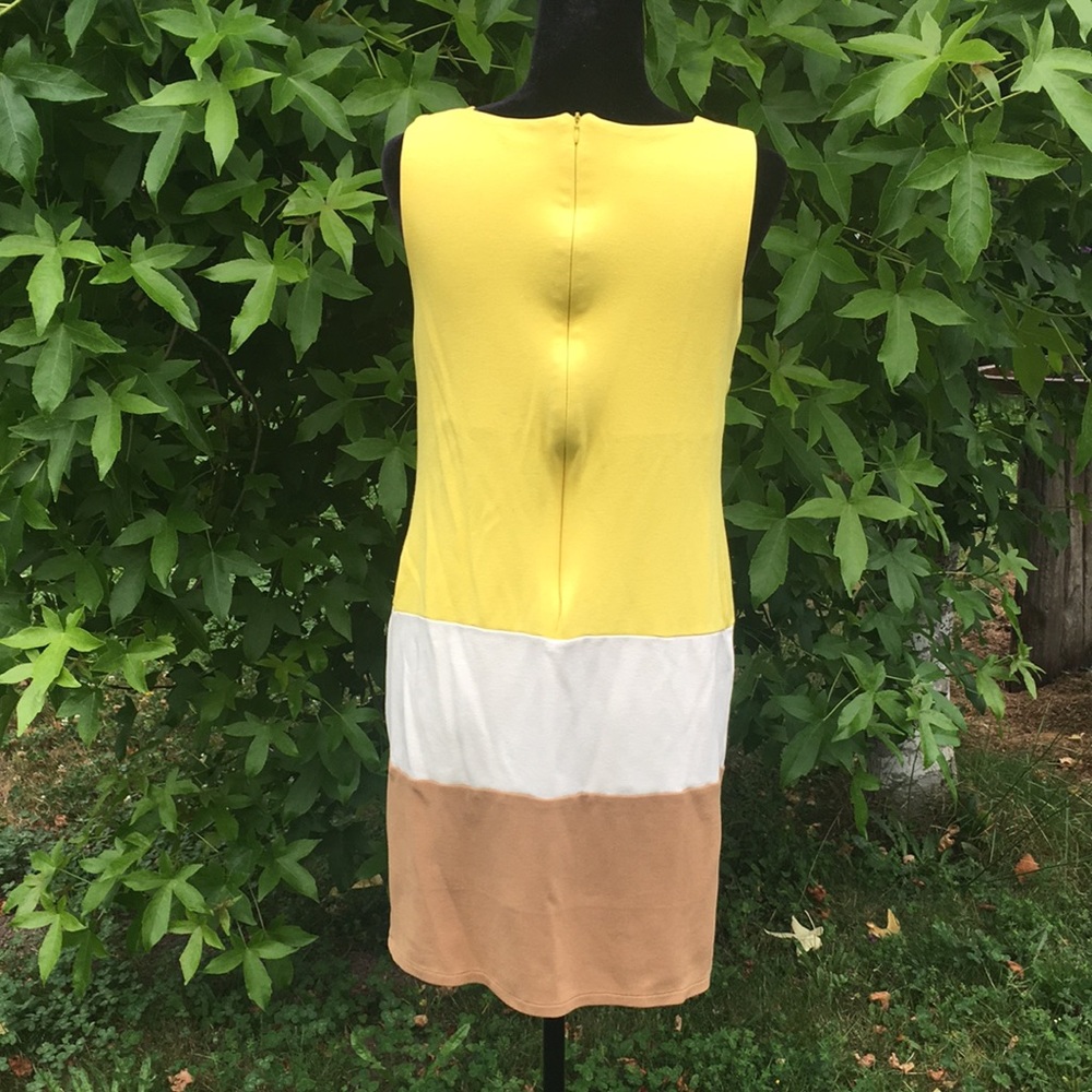 Massimo Dutti Vintage Sleeveless Dress - Picture 4 of 8
